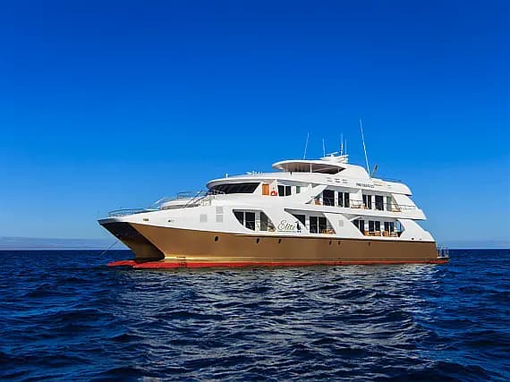 Power Catamaran in San Cristobal / Puerto Baquerizo Moreno / San Cristobal - image 1
