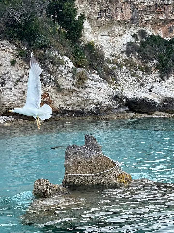 Bali 4.4 in Lefkada / D-Marin Marina Lefkas - Photo 4