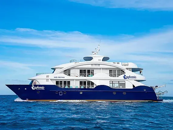 Power Catamaran in Baltra - image 1