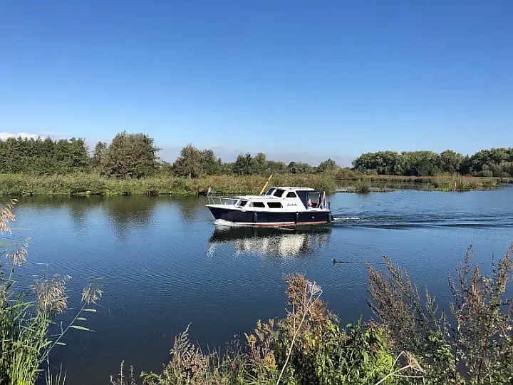 Pedro 800 in Heukelum / De Koornwaard - image 1