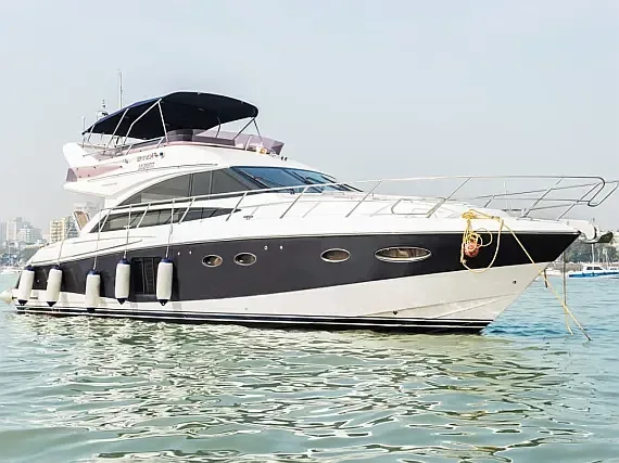 Princess 54 in Goa / Panaji port - image 1